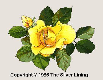 sl011