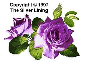sl013