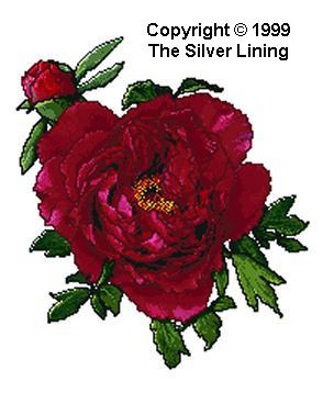 sl051