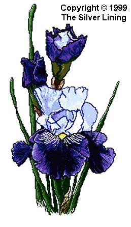 sl055