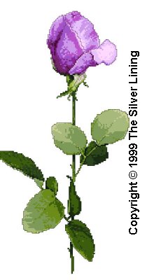 sl065