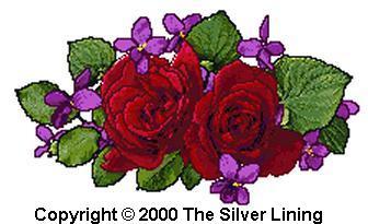 sl081