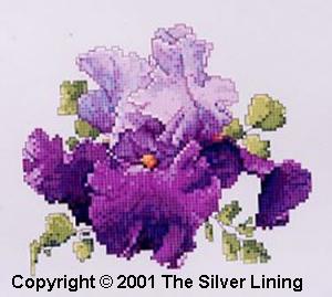 sl095