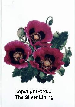 sl096