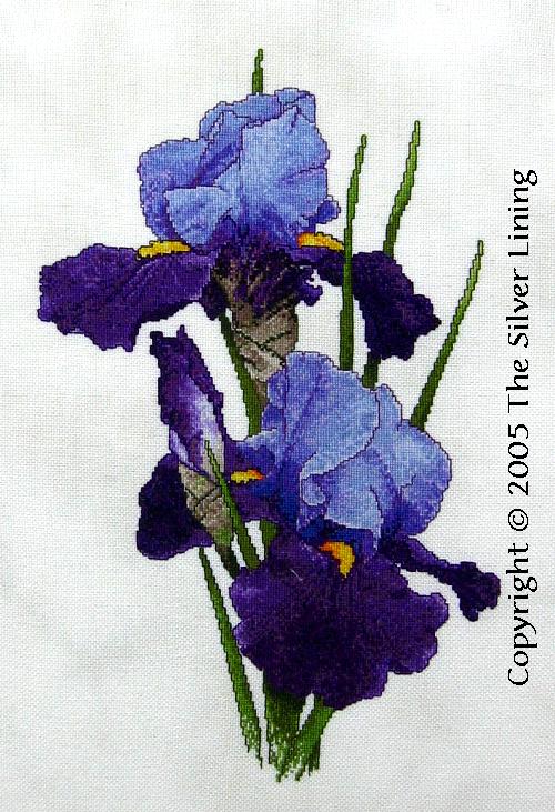 sl169